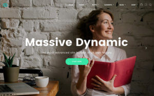 Massive Dynamic - One of the Best Premium Wordpress Themes