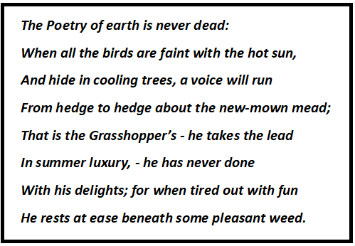 On The Grasshopper and Cricket Stanza Wise Summary