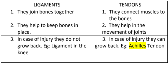 Skeletal System Questions & Answers