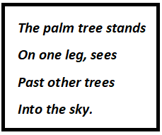 Palm Tree Questions & Answers