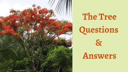 The Tree Poem Questions & Answers