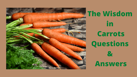 The Wisdom in Carrots Questions & Answers