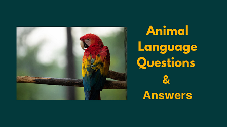 Animal Language Questions & Answers - WittyChimp
