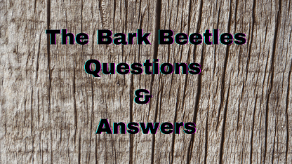 The Bark Beetles Questions & Answers