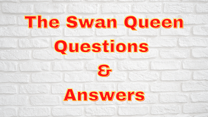 The Swan Queen Questions & Answers