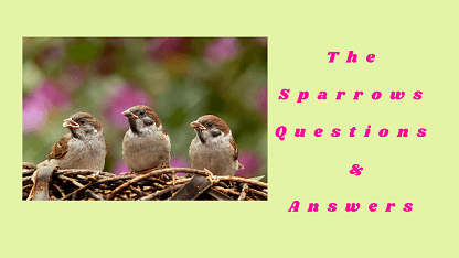 The Sparrows Questions & Answers