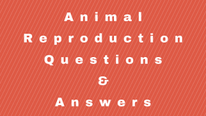 Animal Reproduction Questions & Answers - WittyChimp