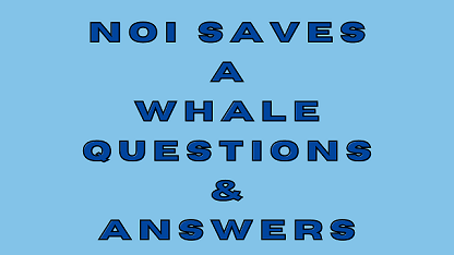 Noi Saves a Whale Questions & Answers