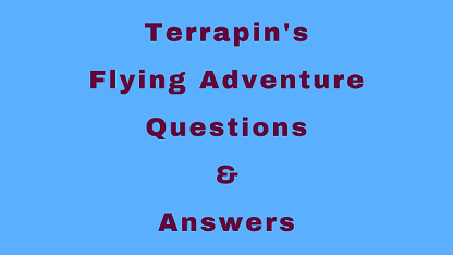 Terrapin's Flying Adventure Questions & Answers