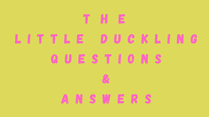 The Little Duckling Questions & Answers