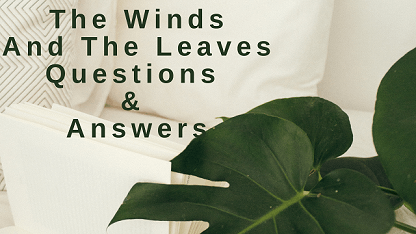 The Winds and The Leaves Questions & Answers