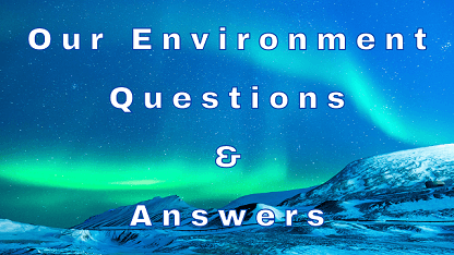 environment assignment questions