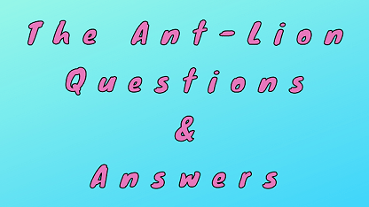 The Ant-Lion Questions & Answers
