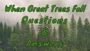 When Great Trees Fall Questions & Answers - WittyChimp