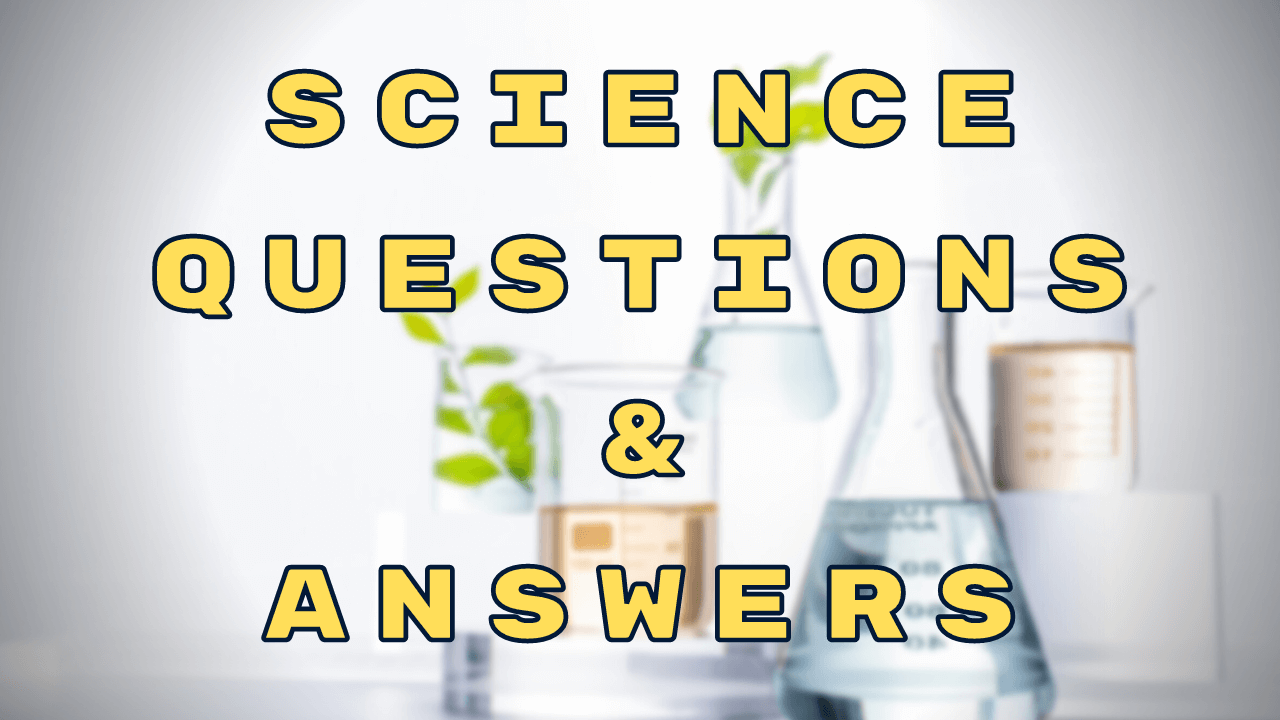 Science Questions And Answers Wittychimp