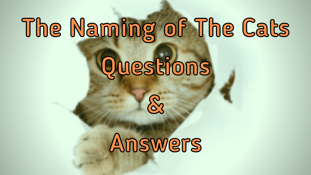 the-naming-of-the-cats-questions-answers-wittychimp