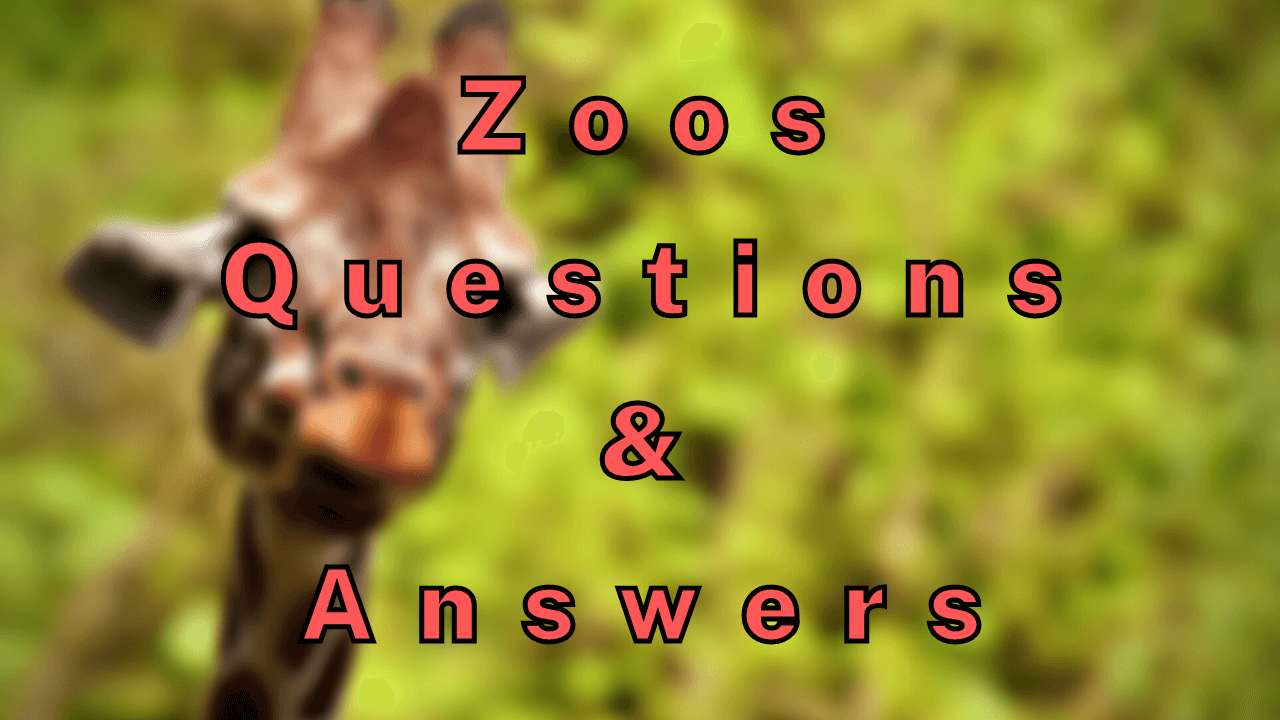 Zoos Questions Answers 