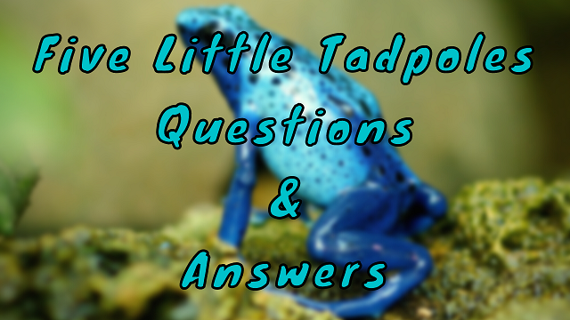 Five Little Tadpoles Questions & Answers - WittyChimp