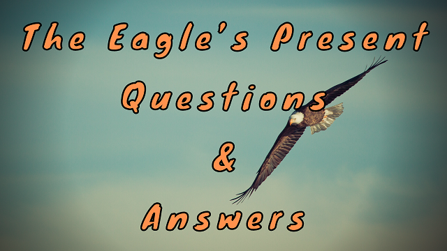 Eagles Question of the Day: How do you feel about the team's