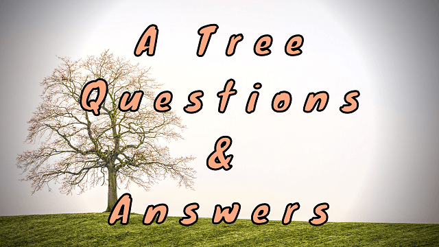 A Tree Questions & Answers - WittyChimp