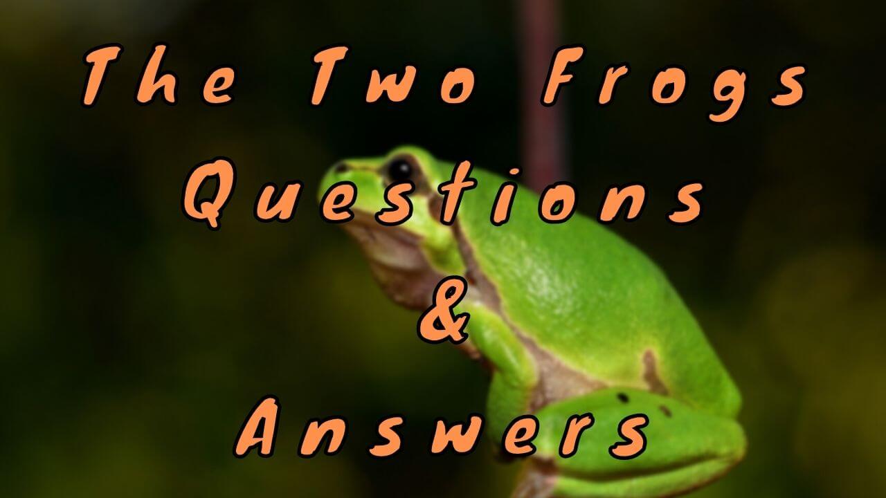 The Two Frogs Questions & Answers - WittyChimp