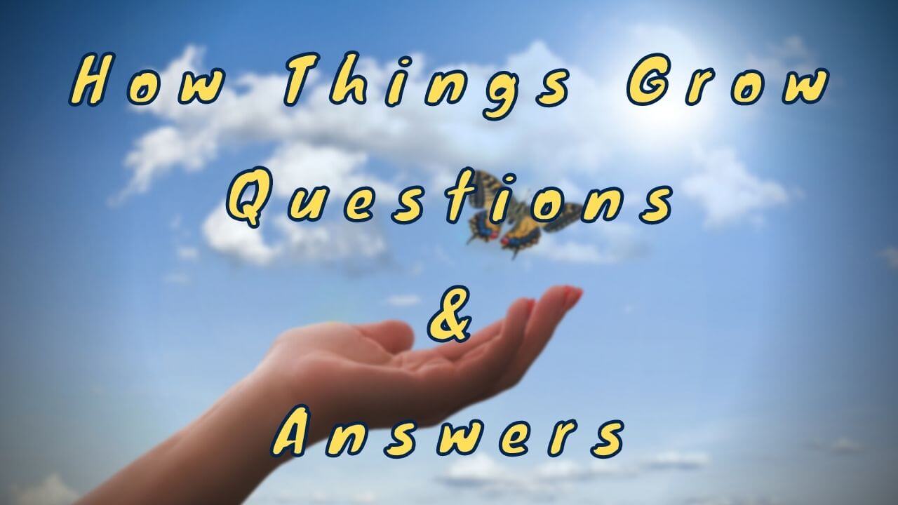 How Things Grow Questions & Answers - WittyChimp