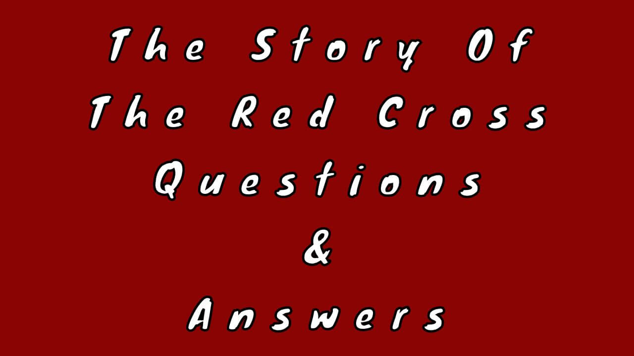 the-story-of-the-red-cross-questions-answers-wittychimp