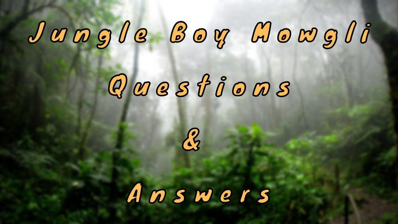 Jungle Boy Mowgli Questions & Answers