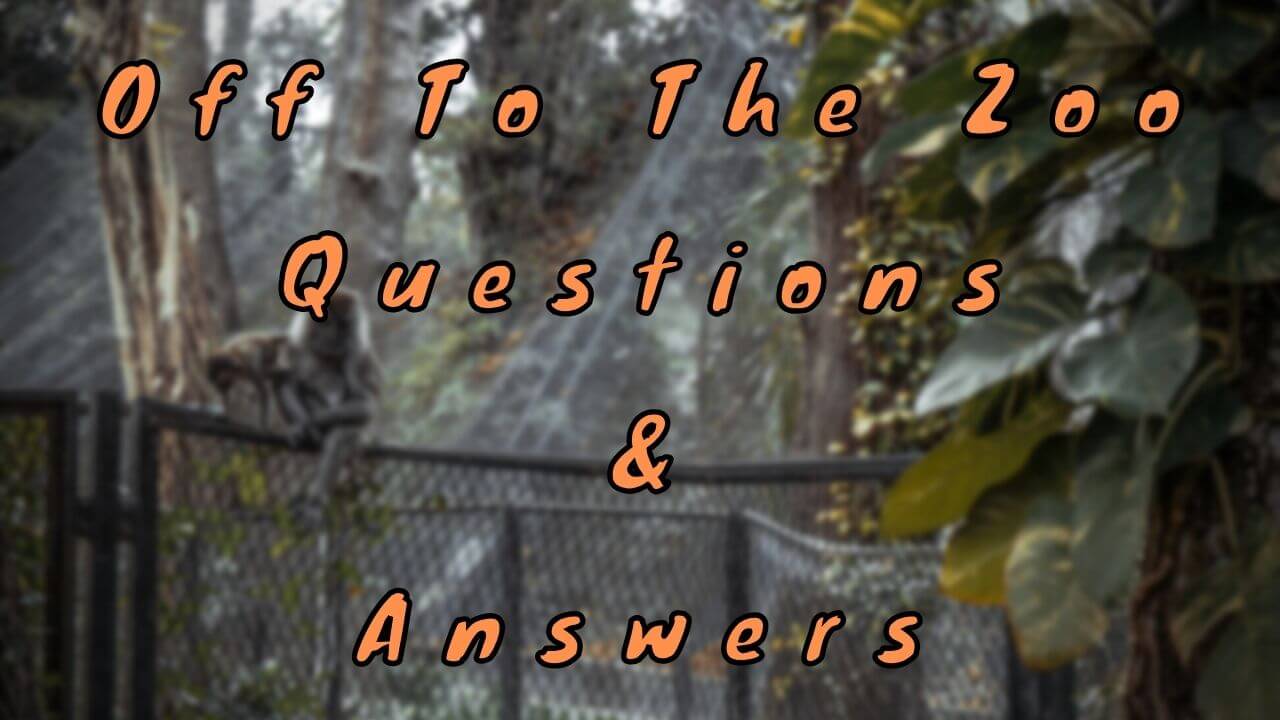 Off To The Zoo Questions Answers 