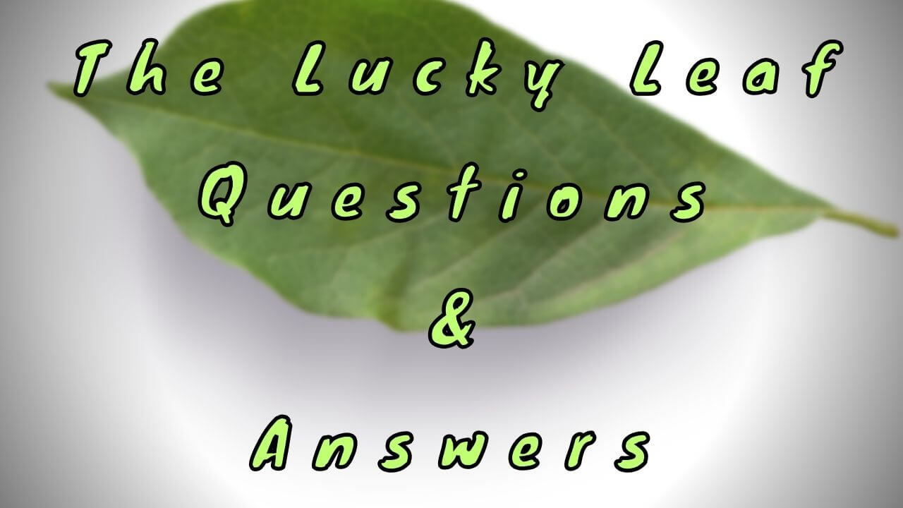 The Lucky Leaf Questions & Answers