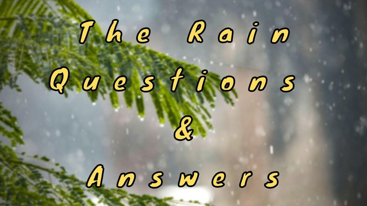 The Rain Questions & Answers