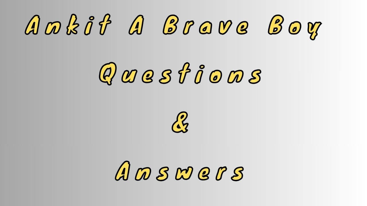 Ankit A Brave Boy Questions & Answers