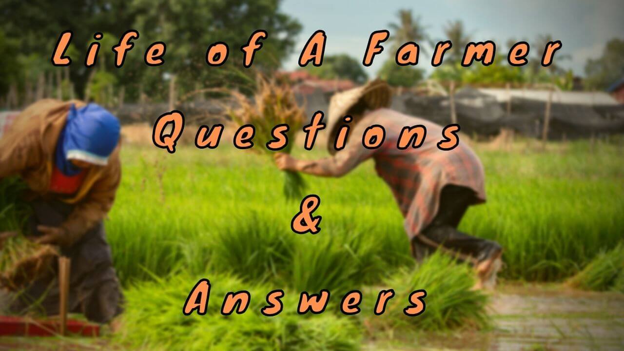 Life of A Farmer Questions & Answers