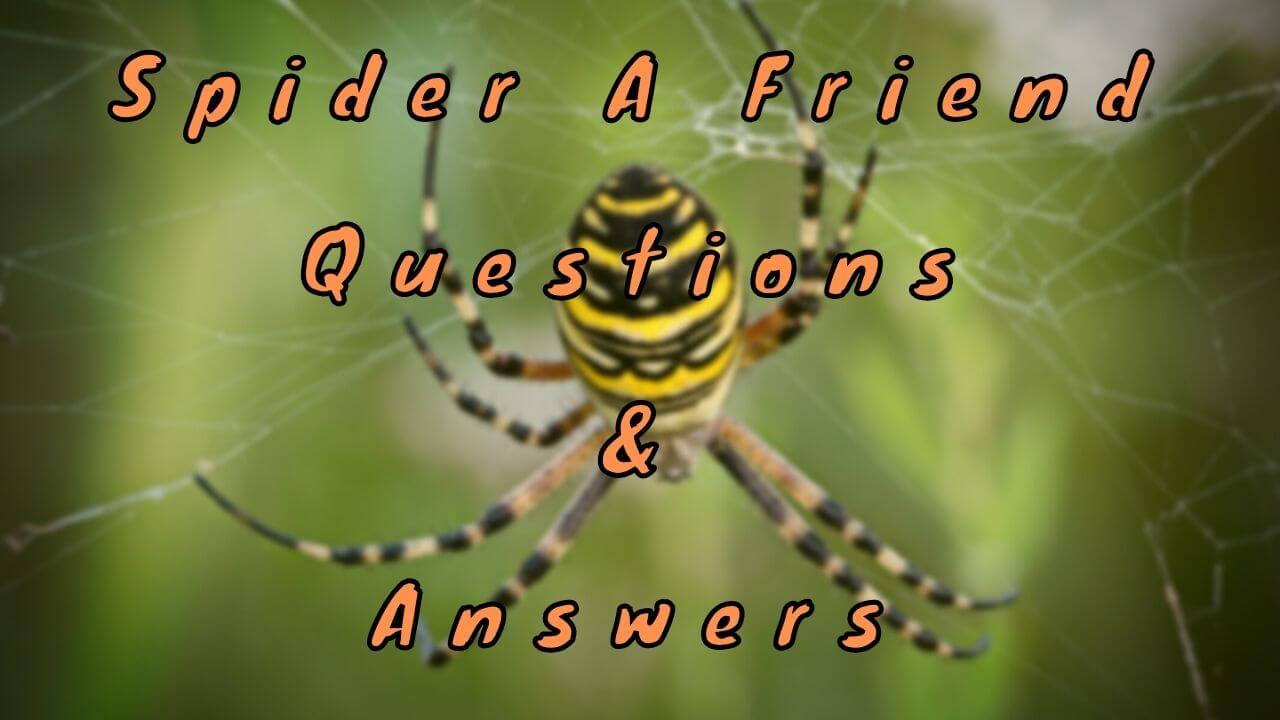 Spider A Friend Questions & Answers