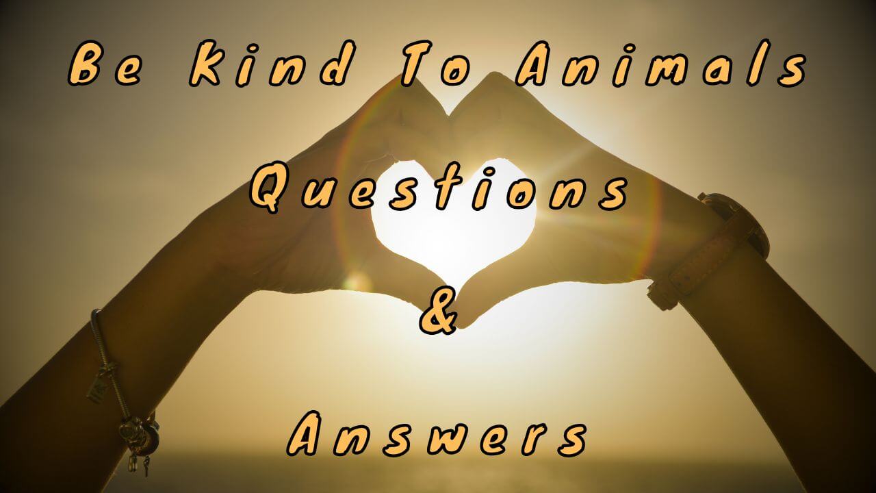 Be Kind To Animals Questions & Answers