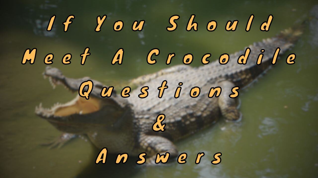 If You Should Meet A Crocodile Questions & Answers