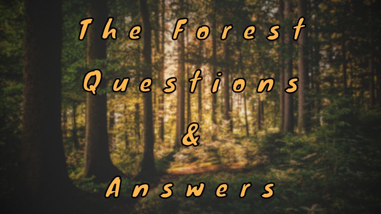 The Forest Questions & Answers