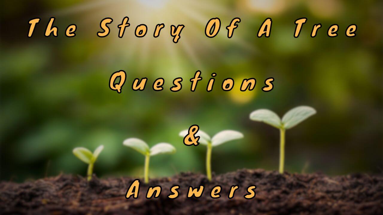 The Story Of A Tree Questions & Answers