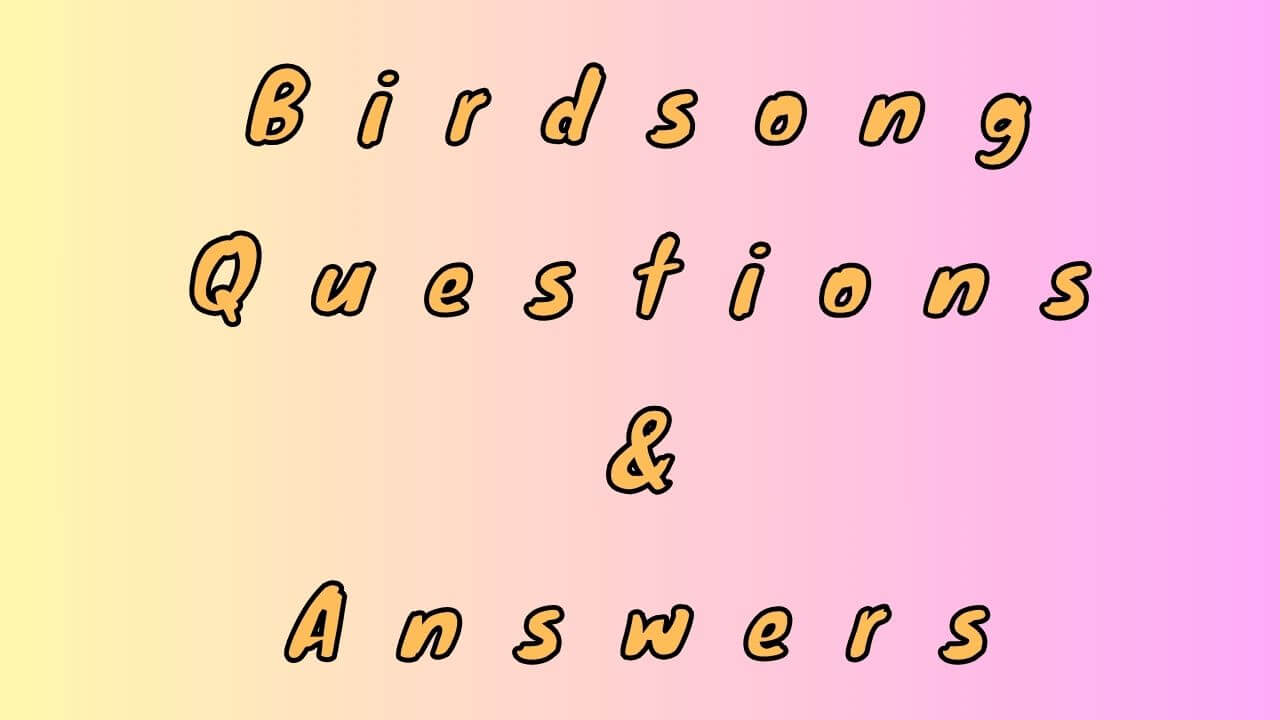 Birdsong Questions & Answers