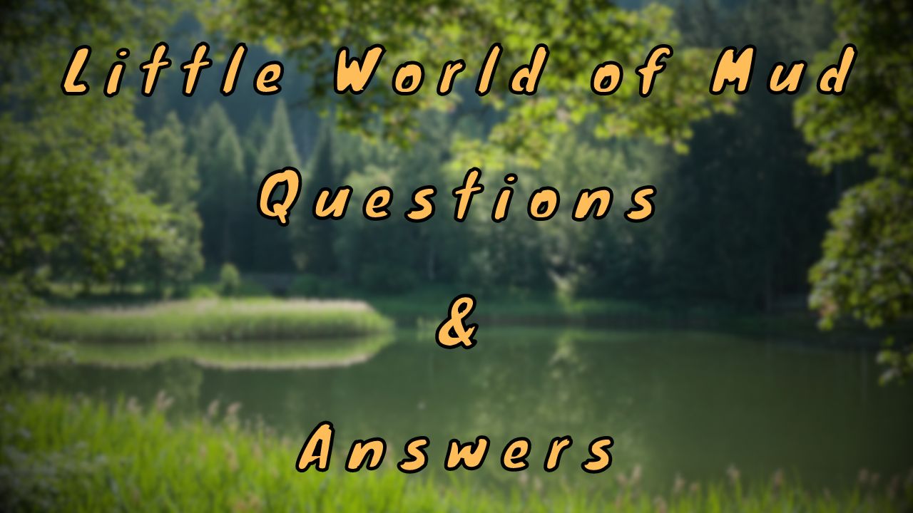 Little World of Mud Questions & Answers