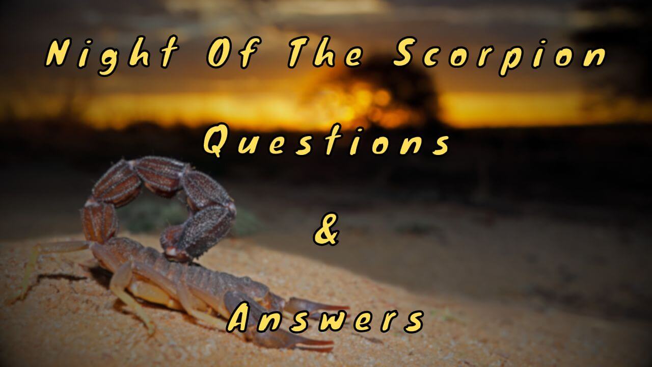 Night Of The Scorpion Questions & Answers