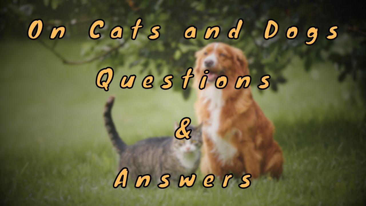 On Cats and Dogs Questions & Answers