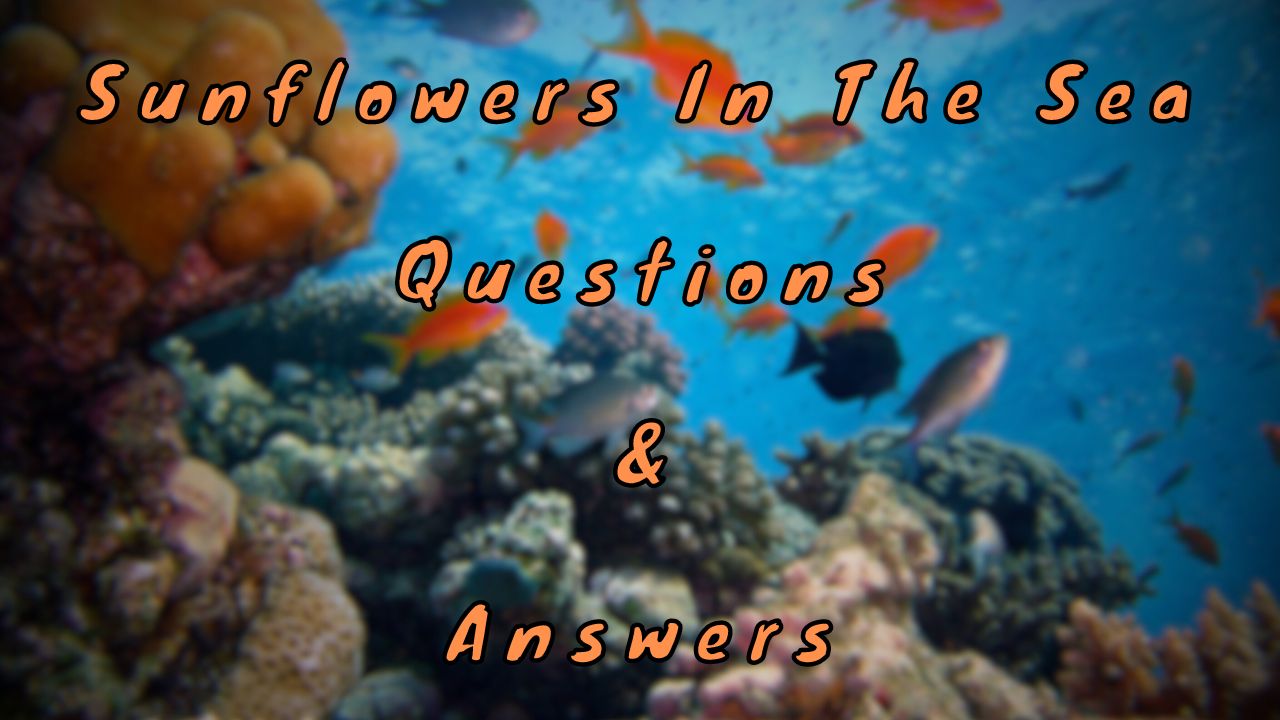 Sunflowers In The Sea Questions & Answers