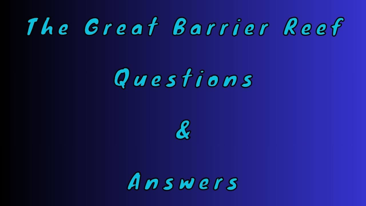 The Great Barrier Reef Questions & Answers