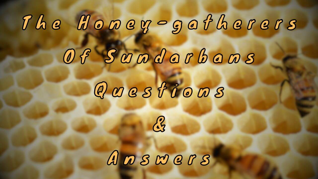 The Honey-gatherers Of Sundarbans Questions & Answers - WittyChimp