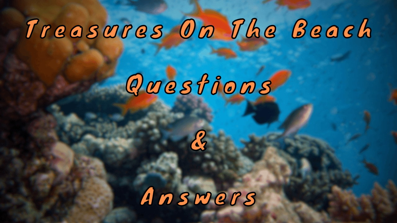 Treasures On The Beach Questions & Answers