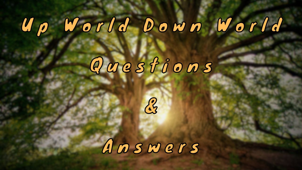 Up World Down World Questions & Answers