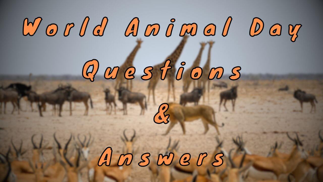 World Animal Day Questions & Answers