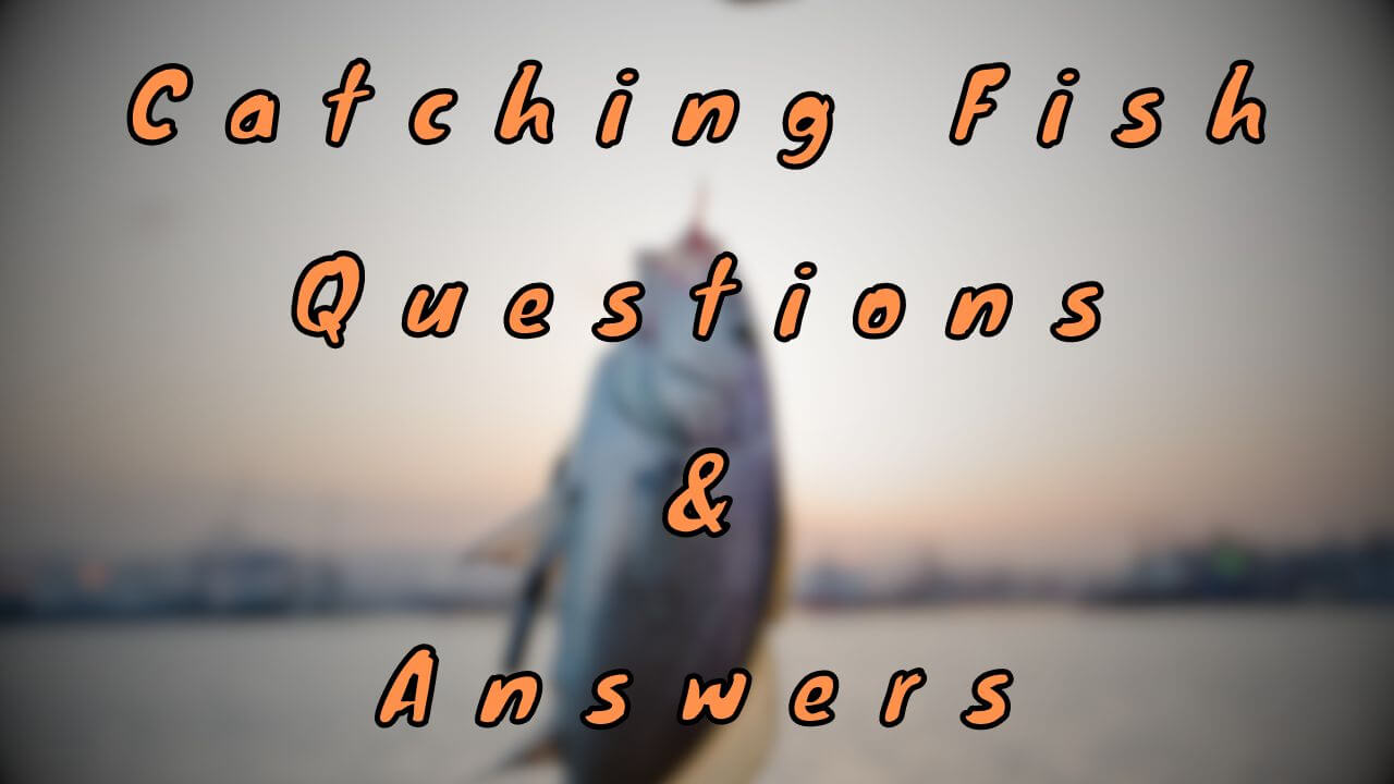 Catching Fish Questions & Answers