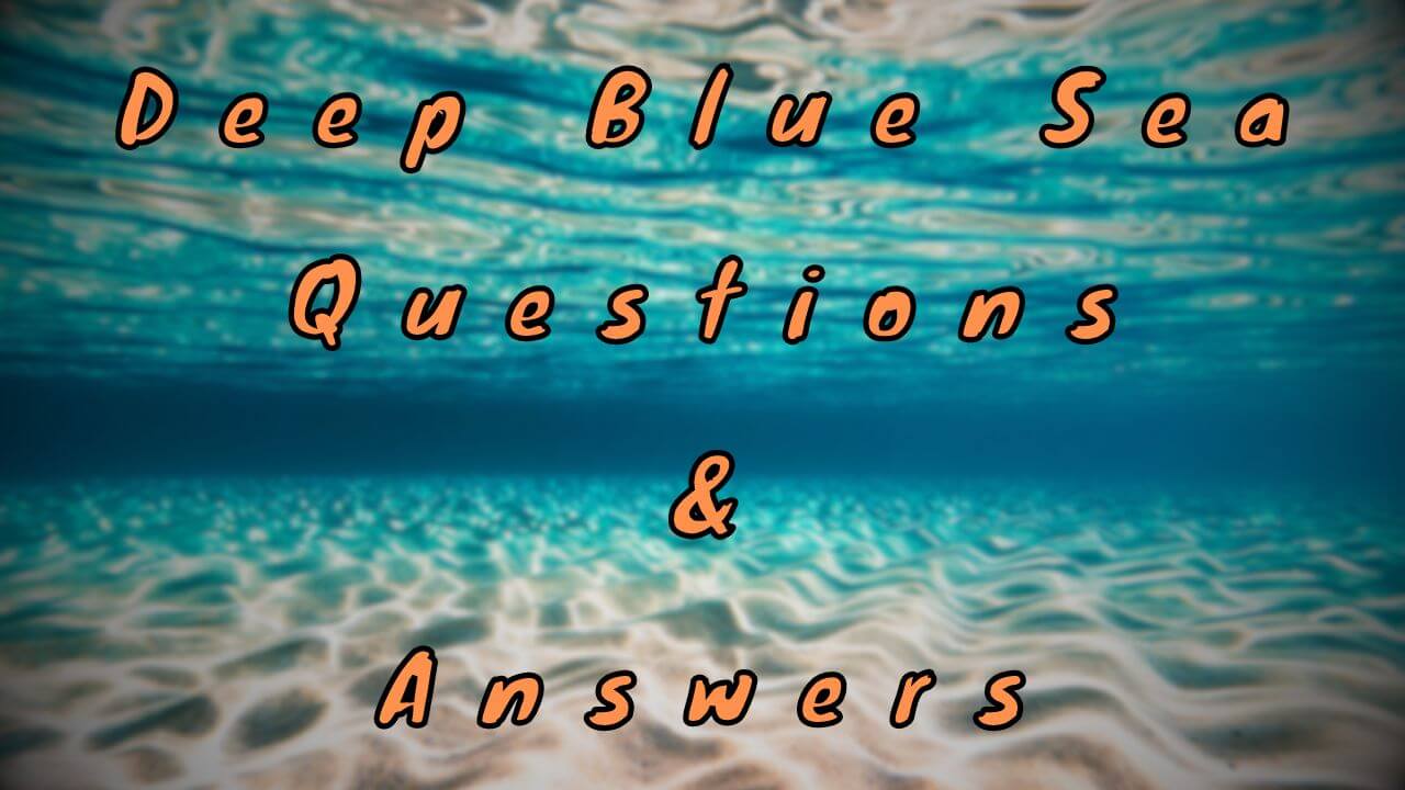 Deep Blue Sea Questions & Answers